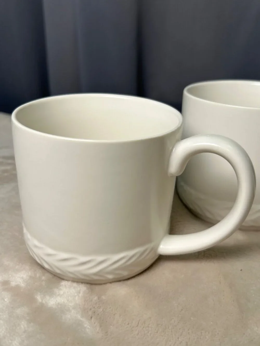 Bee & Willow Asheville Vine Mugs Set of 2 White Embossed Elegant Braided Design